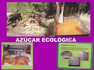 AZÚCAR ECOLÓGICA  