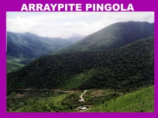 ARRAYPITE PINGOLA  
