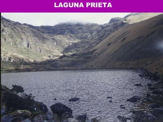 LAGUNA PRIETA  
