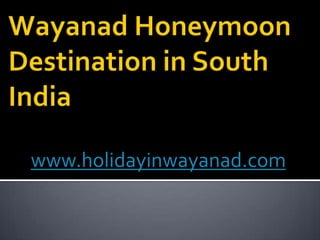 Wayanad Honeymoon Destination in South India www.holidayinwayanad.com 