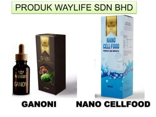 NANO CELLFOOD
PRODUK WAYLIFE SDN BHD
GANONI
 