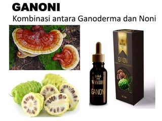 GANONI
Kombinasi antara Ganoderma dan Noni
 