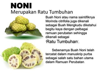 Buah Noni atau nama saintifiknya
Morinda citrifolia juga dikenali
sebagai Buah Mengkudu diketahui
begitu kaya dengan pelbagai
ramuan perubatan sehingga
dikenali sebagai
‘Ratu Tumbuhan’.
Sebenarnya Buah Noni telah
tercatat dalam manuskrip purba
sebagai salah satu bahan utama
dalam Ramuan Perubatan.
NONI
Merupakan Ratu Tumbuhan
 