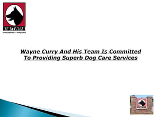 Wayne Curry And His Team Is Committed To Providing Superb Dog Care Services 