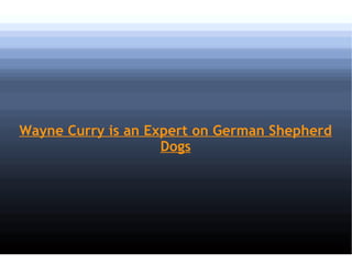 Wayne Curry is an Expert on German Shepherd Dogs 