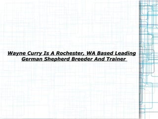Wayne Curry Is A Rochester, WA Based Leading German Shepherd Breeder And Trainer  