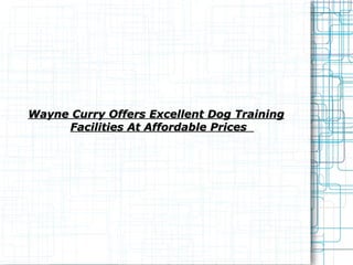 Wayne Curry Offers Excellent Dog Training Facilities At Affordable Prices  