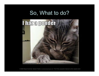 "I Kan Haz Web Analitikz?"