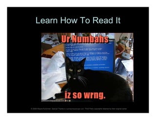 "I Kan Haz Web Analitikz?"