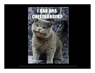 "I Kan Haz Web Analitikz?"