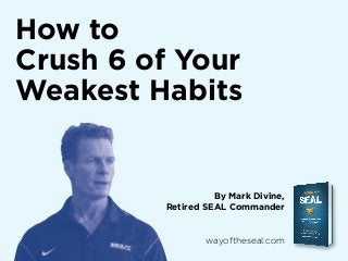 How to
Crush 6 of Your
Weakest Habits

By Mark Divine,
Retired SEAL Commander

wayoftheseal.com

 