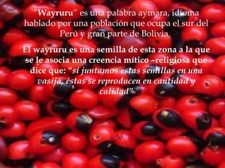 Wayruru 2009 | PPT