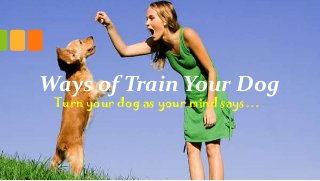 Ways of Train Your Dog
Turn your dog as your mind says…

 