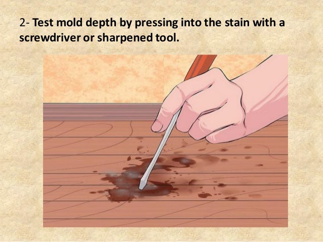 Ways To Remove Mold From Wood Furniture