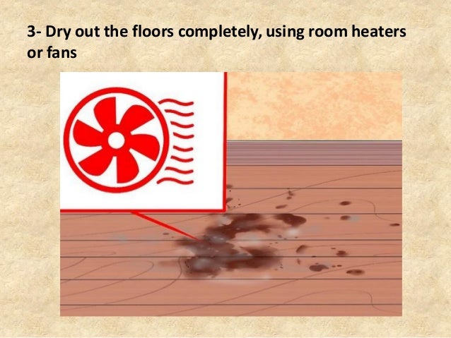 Ways To Remove Mold From Wood Furniture