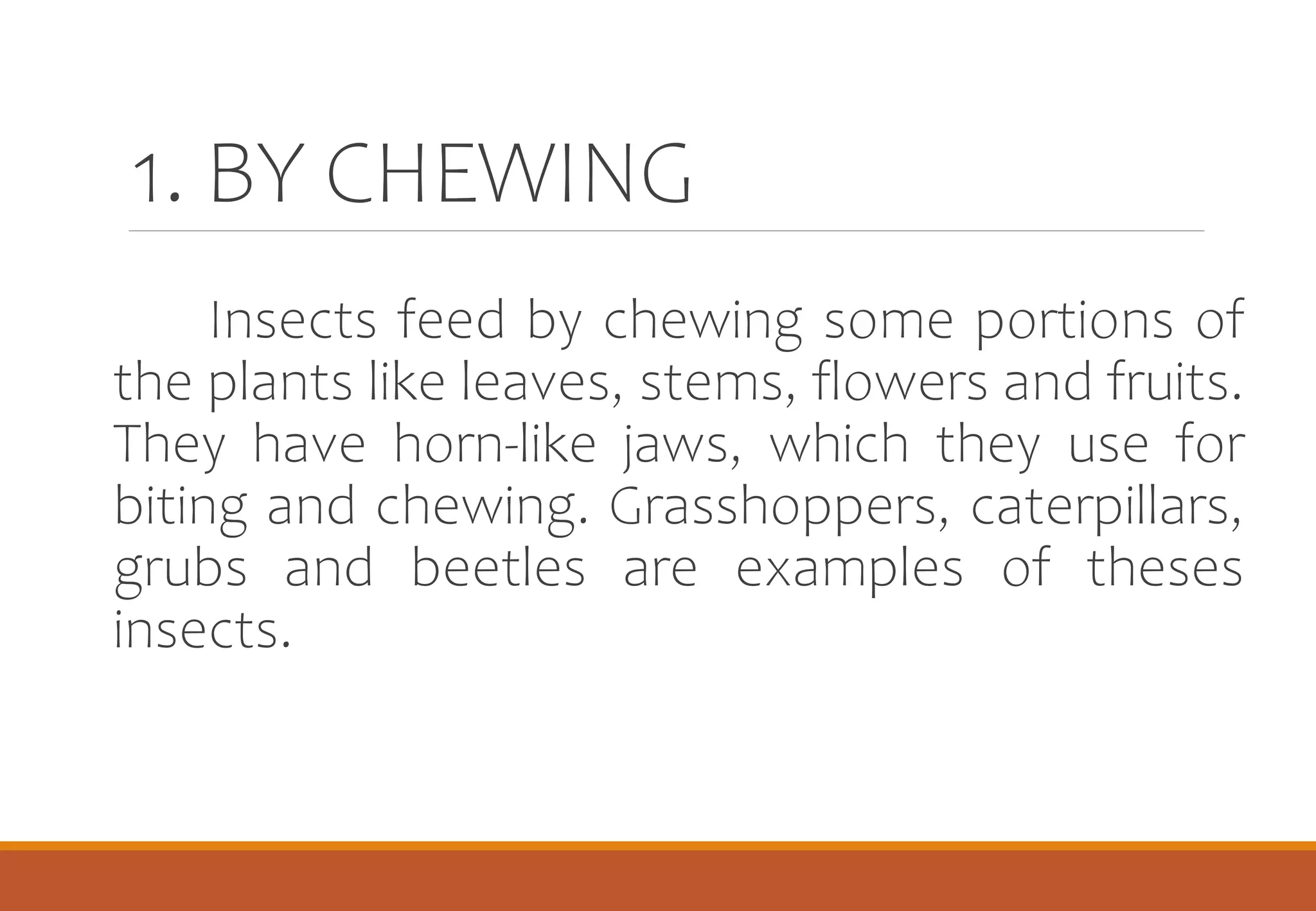 WAYS HOW INSECTS DAMAGE PLANTS.pptx