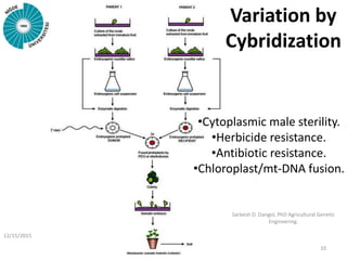 Cybridization Ways of creating variations in plants | PPTX