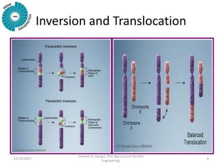 Ways of creating variations in plants | PPTX