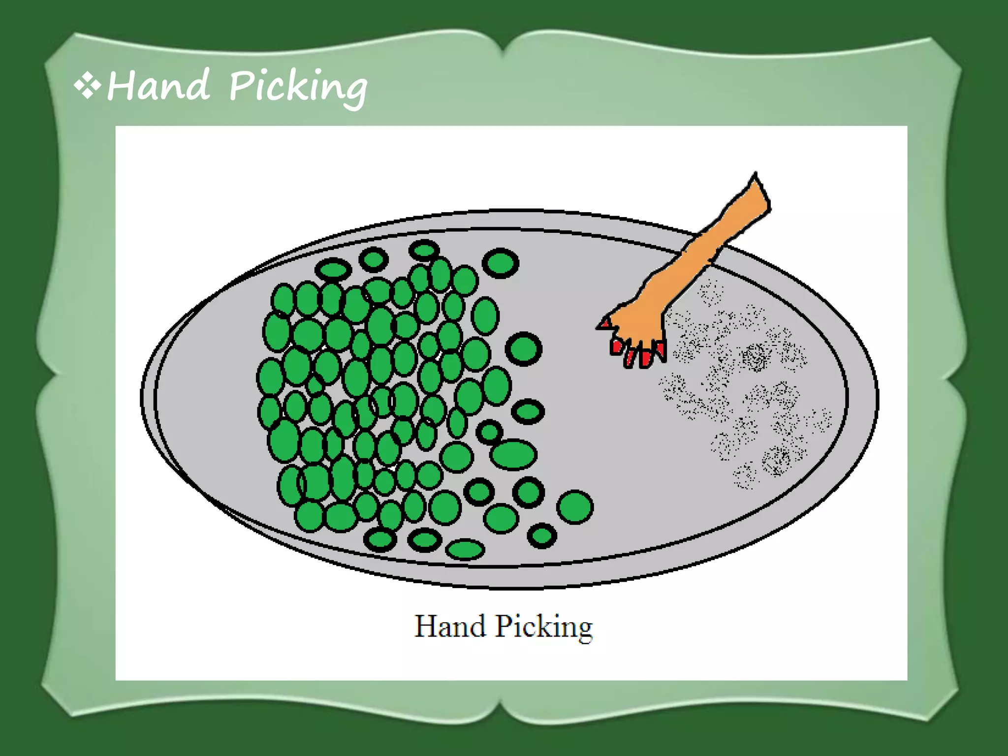 Hand Picking
 