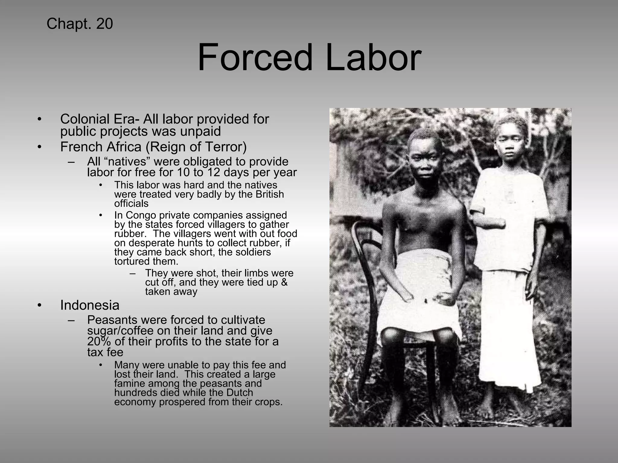 Forced Labor Colonial Era- All labor provided for public projects was unpaid French Africa (Reign of Terror) All “natives” were obligated to provide labor for free for 10 to 12 days per year This labor was hard and the natives were treated very badly by the British officials In Congo private companies assigned by the states forced villagers to gather rubber.  The villagers went with out food on desperate hunts to collect rubber, if they came back short, the soldiers tortured them. They were shot, their limbs were cut off, and they were tied up & taken away Indonesia Peasants were forced to cultivate sugar/coffee on their land and give 20% of their profits to the state for a tax fee Many were unable to pay this fee and lost their land.  This created a large famine among the peasants and hundreds died while the Dutch economy prospered from their crops. Chapt. 20 
