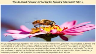 Ways to Attract Pollinators to Your Garden According To Benedict T Palen Jr.
Are you ready to give your garden a new natural push? In the natural world, pollinators, including bees, butterflies, and
hummingbirds, are vital for the well-being of both our gardens and the environment. These agents are beneficial to
your garden, so when you draw them, you can advance plant spread and the occurrence of biodiversity. They dance
from one flower to another, just like fairies transferring pollen that aids plants in reproduction. It is an integral part of
maintaining the health of the ecosystem, including fruits and vegetables, which we love.
 