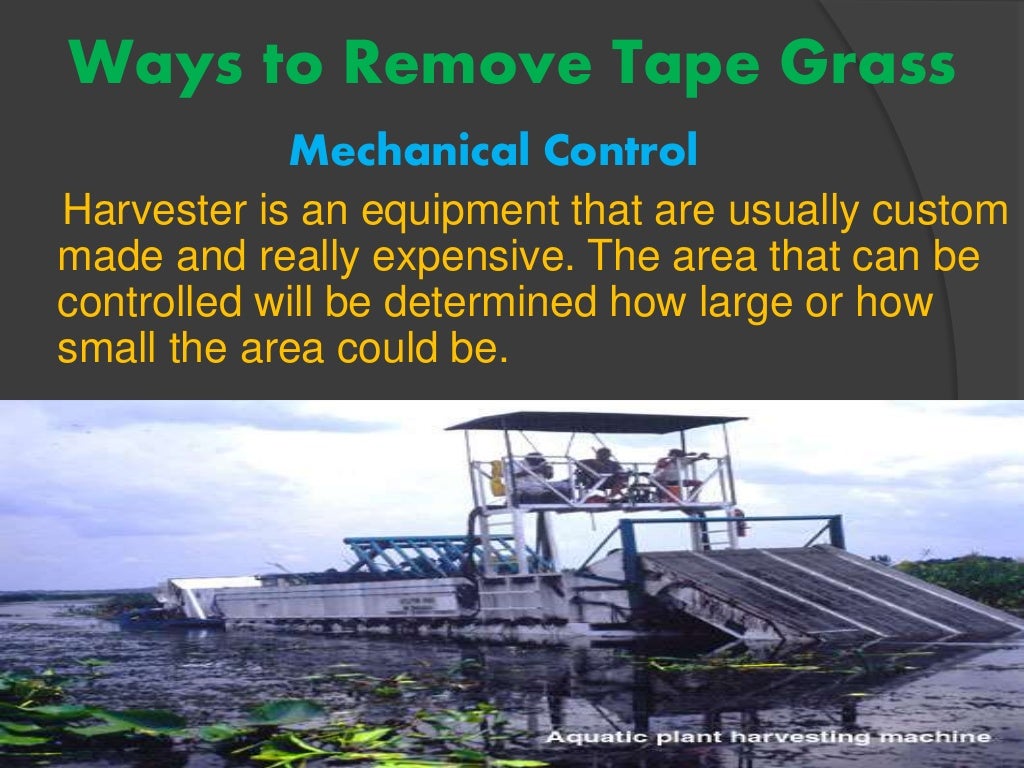 Ways to clean tape grasses effectively