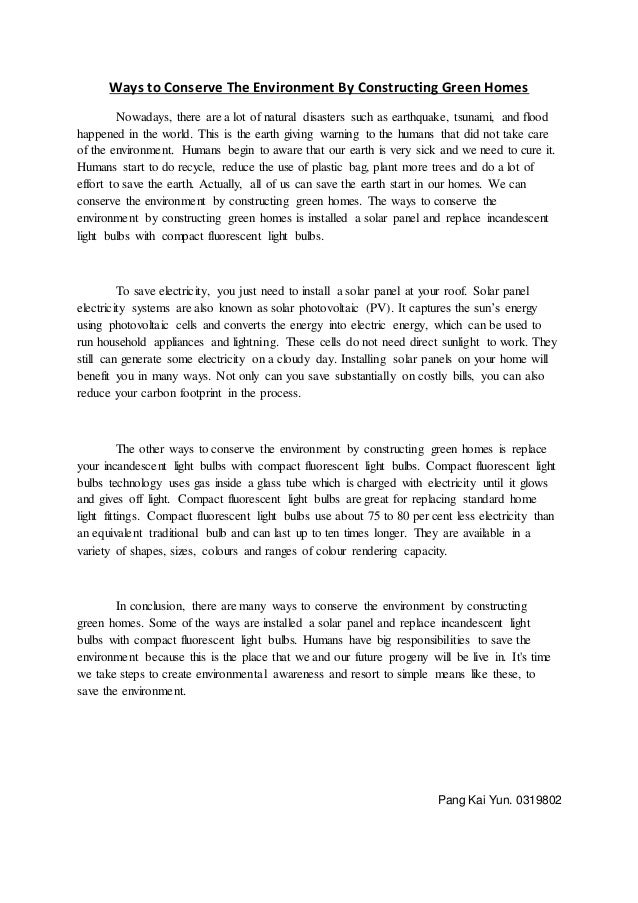 essay about sustainability and helping the environment