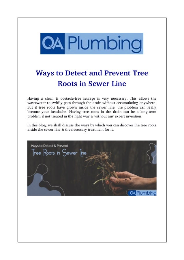 Ways to detect and prevent tree roots in sewer line