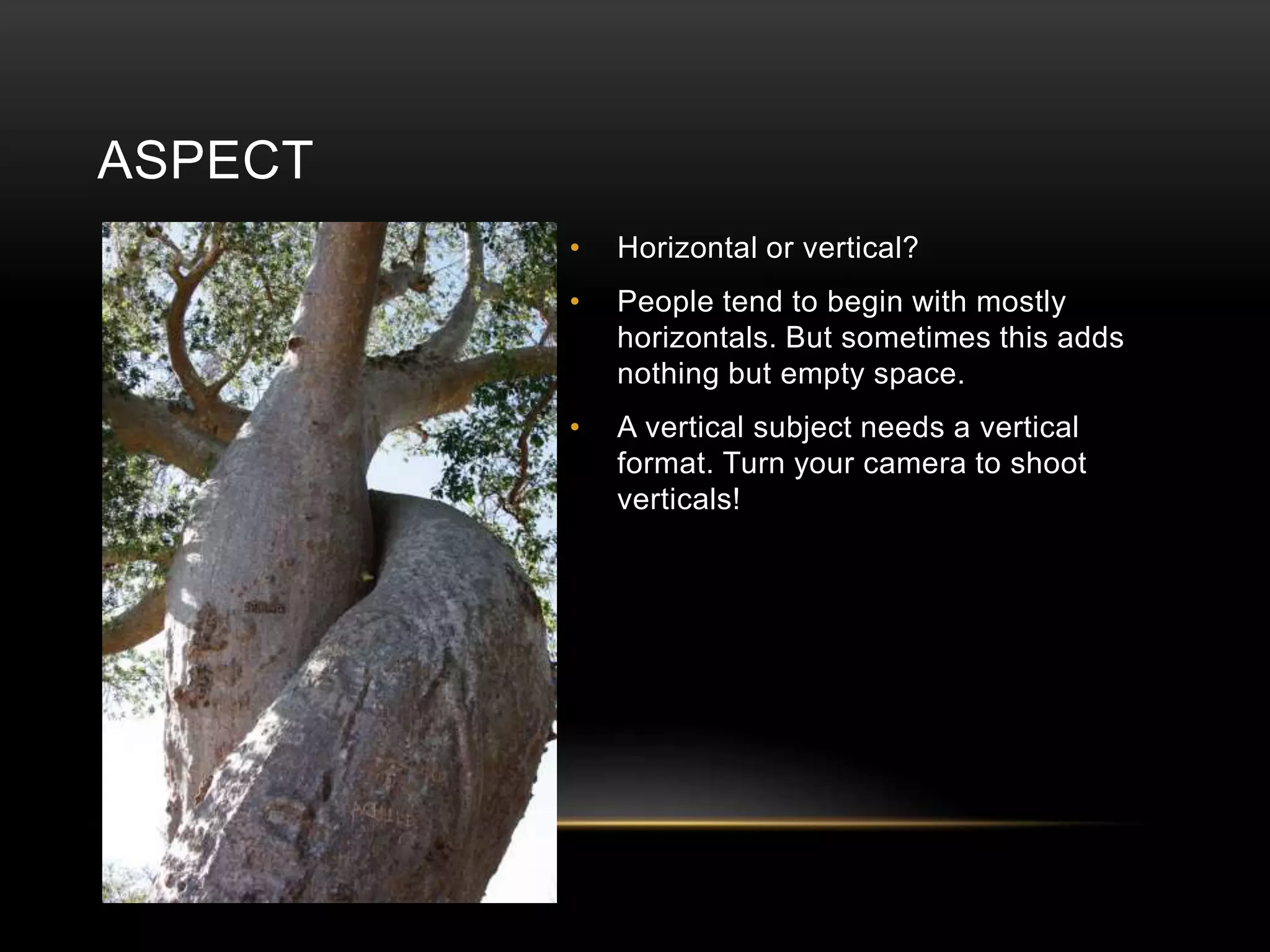 ASPECT 
• Horizontal or vertical? 
• People tend to begin with mostly 
horizontals. But sometimes this adds 
nothing but empty space. 
• A vertical subject needs a vertical 
format. Turn your camera to shoot 
verticals! 
 