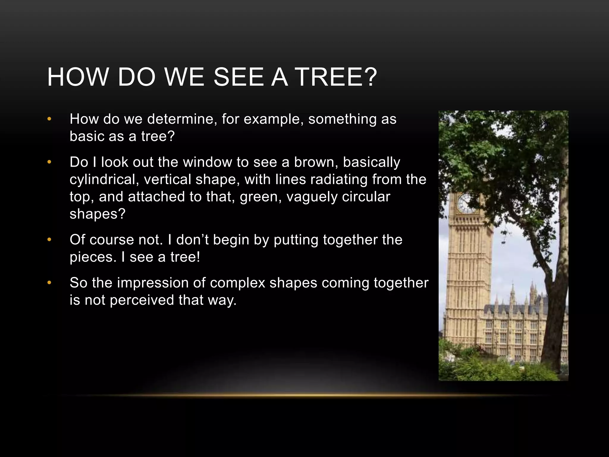 HOW DO WE SEE A TREE? 
• How do we determine, for example, something as 
basic as a tree? 
• Do I look out the window to see a brown, basically 
cylindrical, vertical shape, with lines radiating from the 
top, and attached to that, green, vaguely circular 
shapes? 
• Of course not. I don’t begin by putting together the 
pieces. I see a tree! 
• So the impression of complex shapes coming together 
is not perceived that way. 
 