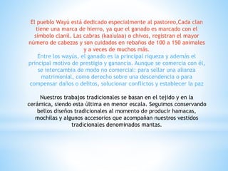 El pueblo Wayú está dedicado especialmente al pastoreo,Cada clan
tiene una marca de hierro, ya que el ganado es marcado con el
símbolo clanil. Las cabras (kaa'ulaa) o chivos, registran el mayor
número de cabezas y son cuidados en rebaños de 100 a 150 animales
y a veces de muchos más.
Entre los wayús, el ganado es la principal riqueza y además el
principal motivo de prestigio y ganancia. Aunque se comercia con él,
se intercambia de modo no comercial: para sellar una alianza
matrimonial, como derecho sobre una descendencia o para
compensar daños o delitos, solucionar conflictos y establecer la paz
Nuestros trabajos tradicionales se basan en el tejido y en la
cerámica, siendo esta última en menor escala. Seguimos conservando
bellos diseños tradicionales al momento de producir hamacas,
mochilas y algunos accesorios que acompañan nuestros vestidos
tradicionales denominados mantas.
 