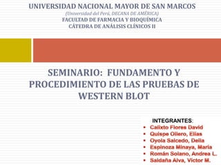 SEMINARIO: FUNDAMENTO Y
PROCEDIMIENTO DE LAS PRUEBAS DE
WESTERN BLOT
UNIVERSIDAD NACIONAL MAYOR DE SAN MARCOS
(Universidad del Perú, DECANA DE AMÉRICA)
FACULTAD DE FARMACIA Y BIOQUÍMICA
CÁTEDRA DE ANÁLISIS CLÍNICOS II
INTEGRANTES:
 