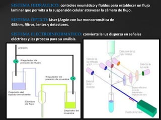 SISTEMA HIDRÁULICO: controles neumático y fluidos para establecer un flujo
laminar que permita a la suspensión celular atravesar la cámara de flujo.
SISTEMA ÓPTICO: láser (Argón con luz monocromática de
488nm, filtros, lentes y detectores.
SISTEMA ELECTROINFORMÁTICO: convierte la luz dispersa en señales
eléctricas y las procesa para su análisis.
 