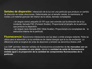 Señales de dispersión: interacción de la luz con una partícula que produce un cambio
de dirección en todas direcciones. Determinada por el tamaño celular, la membrana, el
núcleo y el material granular del interior de la célula, llamado complejidad.
- en ángulo cónico pequeño (0-10º) que casi coincide con la dirección de la luz
incidente, llamada FSC (Forward Scatter). Proporcional al tamaño de la partícula
que produce la dispersión.
- en ángulo recto llamada SSC (Side Scatter). Proporcional a la complejidad de la
estructura interna de la partícula.
Fluorescencia: fluorocromo interacciona con luz láser y emite energía radiante. Parte se
utiliza para la absorción y la luz emitida es de menor energía que la luz de excitación. La
diferencia entre la longitud de onda de absorción y emisión se denomina Stokes shiff.
Los CMF permiten detectar señales de fluorescencia procedentes de Ac marcados con un
fluorocromo y situados en una célula, siendo la cantidad de señal de fluorescencia
emitida igual a la proporción de la cantidad de componentes fluorescentes de la
partícula.
 