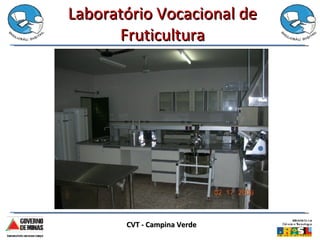 Laboratório Vocacional de Fruticultura CVT - Campina Verde  