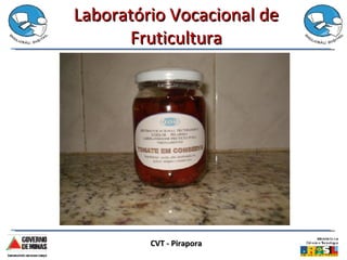 Laboratório Vocacional de Fruticultura CVT - Pirapora 