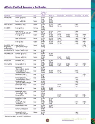 13
Tel: 800-874-3723 or 815-968-0747
www.piercenet.com
Affinity-Purified Secondary Antibodies
*See Table 3 on page 12 for the Key to Abbreviations.
Product #
Pkg. Size
Specificity Description Host Unconj. Biotin-LC Fluorescein Rhodamine Peroxidase Alk. Phos.
Anti-BOVINE Bovine IgG (H+L) Goat 31100 31710
2 mg 2 ml
Bovine IgG (H+L) Rabbit 31103 31712
2 mg 1.5 ml
Anti-CHICKEN Chicken IgY (H+L) Rabbit 31104 31720 31501 31401
2 mg 1.5 ml 1.5 mg 1.5 ml
Anti-GOAT Goat IgG (H+L) Donkey 31108
1.5 mg
Goat IgG (H+L) Mouse 31107 31730 31512 31400
(min x HnMsRb Sr Prot)* 1.5 mg 1 ml 1 mg 1 ml
Goat IgG (H+L) Rabbit 31105 31732 31509 31650 31402 31300
2 mg 1.5 mg 1.5 mg 1.5 mg 1.5 ml 1 ml
Goat IgG [F(ab')2] Rabbit 31153 31753 31553 31403 31405
2 mg 1.5 ml 1.5 mg 1.5 ml 1 ml
Goat IgG (Fc) Rabbit 31133 31733 31533 31433 31337
2 mg 1.5 ml 1.5 mg 1.5 ml 1 ml
Anti-GOAT F(ab')2 Goat IgG (H+L) Rabbit 31109 31302
Fragment of (min x Hn Sr Prot)* 0.5 mg 0.5 ml
Host Antibody
Anti-GUINEA PIG Guinea Pig IgG (H+L) Goat 31114
2 mg
Anti-HAMSTER Hamster IgG (H+L) Goat 31115 31750
1.5 mg 1.5 mg
Hamster IgG (H+L) Rabbit 31120 31587 31652
2 mg 1.5 mg 1.5 mg
Anti-HORSE Horse IgG (H+L) Goat 31116 31760
2 mg 1.5 mg
Anti-HUMAN Human IgG (H+L) Goat 31130 31770 31529 31656 31410 31310
2 mg 1.5 mg 2 mg 2 mg 2 ml 1 ml
Human IgG Goat 31118
Gamma Chain Specific 0.5 mg
Human IgG (H+L) Goat 31119 31774 31531 31412
(min x BvHsMs Sr Prot)* 1.5 mg 1.5 ml 1.5 mg 1.5 ml
Human IgG [F(ab')2] Goat 31122 31312
2 mg 1 ml
Human IgG [F(ab')2] Goat 31132 31414
(min x BvHsMs Sr Prot)* 1.5 mg 1.5 ml
Human IgG (Fc) Goat 31123 31416
(min x BvHsMs Sr Prot)* 1.5 mg 1.5 ml
Human IgM (Fc5µ) Goat 31136 31575 31415
2 mg 2 mg 2 ml
Human IgM (µ) Goat 31124 31778
0.5 mg 0.5 mg
Human IgM (Fc5µ) Goat 31138
(min x Bv Sr Prot)* 1.5 mg
Human IgA (α) Goat 31140 31577 31417 31314
2 mg 2 mg 2 ml 1 ml
Human IgG + IgM Goat 31134 31776
(H+L) 2 mg 2 ml
Human IgA + IgG Goat 31128 31782 31418 31316
+ IgM (H+L) 2 mg 2 ml 2 ml 1 ml
Human Kappa Chain Goat 31129 31780
0.5 mg 0.5 mg
Human Lambda Chain Goat 31131
0.5 mg
Human IgG (H+L) Mouse 31135 31420
(min x Ms Sr Prot)* 2 mg 1.5 ml
 
