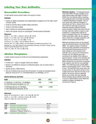 17
Tel: 800-874-3723 or 815-968-0747
www.piercenet.com
Labeling Your Own Antibodies
Maleimide activation – The heterobifunctional
cross-linker SMCC (Product # 22360) and its
water-soluble analog Sulfo-SMCC (Product #
22322) have more general utility in preparing
immunologically active horseradish peroxidase
or alkaline phosphatase conjugates. They are
most useful when preparing conjugates of
reduced IgG and F(ab')2, because these meth-
ods involve the initial step of preparing a
maleimide-activated (sulfhydryl-reactive)
enzyme derivative. Studies have shown that the
two-step maleimide method is superior to glu-
taraldehyde or metaperiodate methods for
enzyme conjugation (Figure 8). The maleimide
method gives higher yields with less polymer-
ization, producing a conjugate preparation with
superior immunoassay characteristics.
Maleimide-activated enzymes can be prepared
using the heterobifunctional cross-linker Sulfo-
SMCC. This reagent contains an N-hydroxy-
sulfosuccinimide (Sulfo-NHS) functional group
and a maleimide functional group and it is
water-soluble due to the presence of the
sulfonate (-SO3
-) group on the N-hydroxysuc-
cinimide ring. The sulfonate group also
contributes to the stability of the molecule in
aqueous solution. A study of the hydrolysis rate
of the maleimide functional group from Sulfo-
SMCC showed that it is less prone to hydrolysis
to the maleamic acid than the non-sulfonated
SMCC. The maleimide groups of Sulfo-SMCC
exhibit no decomposition at pH 7 at 30˚C within
6 hours. The Sulfo-NHS ester group reacts with
primary amines on the enzyme surface to form
a stable amide bond. After this first step of con-
jugation, the enzyme will have maleimide
groups on its surface that react optimally
toward sulfhydryl groups between pH 6.5 and
7.5 to form stable thioether bonds. Maleimide-
mediated conjugation strategies are
summarized in Figure 8.
Alkaline Phosphatase
A highly sensitive enzyme for ELISA and immunohistochemical applications.
Highlights:
• Purified form – ready to conjugate without prior dialysis
• Activity is not affected by exposure to antibacterial agents, such as sodium azide or
thimerosal
• Specific activity >2,000 units/mg
• One unit is defined as the amount that will hydrolyze 1.0 µmole of p-nitrophenyl phos-
phate per minute at 37°C in 1.0 M diethanolamine, 0.5 mM MgCl2, pH 7.8
Specific Activity per mg Protein
Buffer 25°C 37°C
0.1 M Glycine, 1.0 mM ZnCl2, 1.0 mM MgCl2, >500 >1,000
6.0 mM p-Nitrophenyl phosphate, pH 10.4
1.0 M Diethanolamine, 0.5 mM MgCl2, >1,000 >2,000
15 mM p-Nitrophenyl phosphate, pH 9.8
References
Bulman, A.S. and Heyderman, E. (1981). J. Clin. Pathol. 34, 1349-1351.
Cordell, J.L., et al. (1984). J. Histochem. Cytochem. 32, 219-229.
Yolken, R.H. (1982). Rev. Infect. Dis. 4, 35-68.
Horseradish Peroxidase
Its high specific enzyme activity makes it the enzyme of choice.
Highlights:
• Superior to alkaline phosphatase and β-galactosidase conjugates due to the higher specif-
ic enzyme activity
• Small size (40 kDa) allows excellent cellular penetration
• Variety of substrates available
• Ideal in blotting and cytochemistry applications
• Used as the reporter enzyme for SuperSignal® Chemiluminescent Substrates
References
Cordell, J.L., et al. (1984). J. Histochem. Cytochem. 32, 219-229.
Hosoda, H., et al. (1987). Chem. Pharm. Bull. 35, 3336-3342.
Passey, R.B., et al. (1977). Clin. Chem. 23(1), 131-139.
Porstmann, B., et al. (1985). J. Immunol. Methods. 79, 27-37.
Samoszuk, M.K., et al. (1989). Antibody, Immunoconjugates and Radiopharmaceuticals 2, 37-46.
Wordinger, R.J., et al. (1987). Manual of Immunoperoxidase Techniques, 2nd Edition. Chicago: American
Society of Clinical Pathologists Press, pp. 23-24.
Yolken, R.H. (1982). Rev. Infect. Dis. 4(1), 35-68.
PRODUCT # DESCRIPTION PKG. SIZE
31490 ImmunoPure® Horseradish Peroxidase 10 mg
31491 ImmunoPure® Horseradish Peroxidase 100 mg
31391 ImmunoPure® Alkaline Phosphatase 20 mg
Calf intestinal. Supplied in Tris Buffer, pH ~7
Triethanolamine, 1 mM MgCl2, 3 M NaCl, pH 7.6
31392 ImmunoPure® Alkaline Phosphatase 100 mg
 
