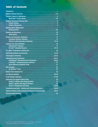 For more product information, or to download a product
instruction booklet, visit www.piercenet.com.
Table of Contents
Introduction . . . . . . . . . . . . . . . . . . . . . . . . . . . . . . . . . . . . . . . . . . . . . . . . . 1
Western Blotting Overview . . . . . . . . . . . . . . . . . . . . . . . . . . . . . . . . . . . . . 2-3
Transfer Protein to a Membrane . . . . . . . . . . . . . . . . . . . . . . . . . . . . . . . . . . . 4
MemCode™ Protein Stains. . . . . . . . . . . . . . . . . . . . . . . . . . . . . . . . . . 4-5
Blocking Nonspecific Binding Sites. . . . . . . . . . . . . . . . . . . . . . . . . . . . . . . . . 6
Transfer Buffers . . . . . . . . . . . . . . . . . . . . . . . . . . . . . . . . . . . . . . . . . . . 6
Transfer Membranes . . . . . . . . . . . . . . . . . . . . . . . . . . . . . . . . . . . . . . . 6
Blocking Buffer Optimization . . . . . . . . . . . . . . . . . . . . . . . . . . . . . . . . . . . . . 7
Blocking Buffers . . . . . . . . . . . . . . . . . . . . . . . . . . . . . . . . . . . . . . . . . 8-9
Washing the Membrane. . . . . . . . . . . . . . . . . . . . . . . . . . . . . . . . . . . . . . . . 10
Wash Buffers. . . . . . . . . . . . . . . . . . . . . . . . . . . . . . . . . . . . . . . . . . . . 10
Primary and Secondary Antibodies . . . . . . . . . . . . . . . . . . . . . . . . . . . . . . . . 11
Conjugate Stabilizer Solutions . . . . . . . . . . . . . . . . . . . . . . . . . . . . . . . . 12
Affinity-Purified Secondary Antibodies . . . . . . . . . . . . . . . . . . . . . . . . 13-15
Labeling Your Own Antibodies . . . . . . . . . . . . . . . . . . . . . . . . . . . . . . . . . . . 16
ImmunoPure®
Enzymes. . . . . . . . . . . . . . . . . . . . . . . . . . . . . . . . . . . . . 17
EZ-Link™ Activated Enzymes. . . . . . . . . . . . . . . . . . . . . . . . . . . . . . . 18-19
EZ-Label™ Fluorescent Labeling Kits . . . . . . . . . . . . . . . . . . . . . . . . . . . . . . 20
Optimizing Antibody Concentration. . . . . . . . . . . . . . . . . . . . . . . . . . . . . . 21-22
Chromogenic Substrates . . . . . . . . . . . . . . . . . . . . . . . . . . . . . . . . . . . . . 23-24
Chemiluminescent Substrates . . . . . . . . . . . . . . . . . . . . . . . . . . . . . . . . . 25-31
SuperSignal®
Chemiluminescent Substrates . . . . . . . . . . . . . . . . . . . . 26-30
LumiPhos™ Chemiluminescent Substrate . . . . . . . . . . . . . . . . . . . . . . . . 31
Quick Reference Substrate Guide . . . . . . . . . . . . . . . . . . . . . . . . . . . . . . 31
Data Imaging . . . . . . . . . . . . . . . . . . . . . . . . . . . . . . . . . . . . . . . . . . . . . . . 32
CL-XPosure™ Film . . . . . . . . . . . . . . . . . . . . . . . . . . . . . . . . . . . . . . . . 32
Western Blot Detection Kit . . . . . . . . . . . . . . . . . . . . . . . . . . . . . . . . . . . . . . 34
Far-Western Blotting. . . . . . . . . . . . . . . . . . . . . . . . . . . . . . . . . . . . . . . . 35-36
In-Gel Western Detection . . . . . . . . . . . . . . . . . . . . . . . . . . . . . . . . . . . . 37-39
Optimizing the Signal-to-Noise Ratio . . . . . . . . . . . . . . . . . . . . . . . . . . . . . . 40
Restore™ Western Blot Stripping Buffer . . . . . . . . . . . . . . . . . . . . . . . . . 42
Qentix™ Western Blot Signal Enhancer. . . . . . . . . . . . . . . . . . . . . . . . . . 43
Erase-It®
Background Eliminator . . . . . . . . . . . . . . . . . . . . . . . . . . . . 44-45
Troubleshooting Guide – Blotting with Chemiluminescence . . . . . . . . . . . . . 46-49
Western Blotting Protocol Using Chemiluminescent Substrates . . . . . . . . . . 50-51
Recommended Reading. . . . . . . . . . . . . . . . . . . . . . . . . . . . . . . . . . . . . . . . 52
 