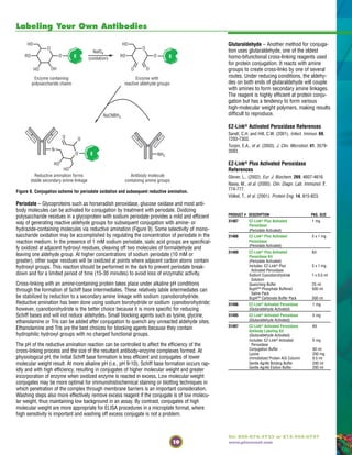 19
Tel: 800-874-3723 or 815-968-0747
www.piercenet.com
Labeling Your Own Antibodies
Periodate – Glycoproteins such as horseradish peroxidase, glucose oxidase and most anti-
body molecules can be activated for conjugation by treatment with periodate. Oxidizing
polysaccharide residues in a glycoprotein with sodium periodate provides a mild and efficient
way of generating reactive aldehyde groups for subsequent conjugation with amine- or
hydrazide-containing molecules via reductive amination (Figure 9). Some selectivity of mono-
saccharide oxidation may be accomplished by regulating the concentration of periodate in the
reaction medium. In the presence of 1 mM sodium periodate, sialic acid groups are specifical-
ly oxidized at adjacent hydroxyl residues, cleaving off two molecules of formaldehyde and
leaving one aldehyde group. At higher concentrations of sodium periodate (10 mM or
greater), other sugar residues will be oxidized at points where adjacent carbon atoms contain
hydroxyl groups. This reaction should be performed in the dark to prevent periodate break-
down and for a limited period of time (15-30 minutes) to avoid loss of enzymatic activity.
Cross-linking with an amine-containing protein takes place under alkaline pH conditions
through the formation of Schiff base intermediates. These relatively labile intermediates can
be stabilized by reduction to a secondary amine linkage with sodium cyanoborohydride.
Reductive amination has been done using sodium borohydride or sodium cyanoborohydride;
however, cyanoborohydride is the better choice because it is more specific for reducing
Schiff bases and will not reduce aldehydes. Small blocking agents such as lysine, glycine,
ethanolamine or Tris can be added after conjugation to quench any unreacted aldehyde sites.
Ethanolamine and Tris are the best choices for blocking agents because they contain
hydrophilic hydroxyl groups with no charged functional groups.
The pH of the reductive amination reaction can be controlled to affect the efficiency of the
cross-linking process and the size of the resultant antibody-enzyme complexes formed. At
physiological pH, the initial Schiff base formation is less efficient and conjugates of lower
molecular weight result. At more alkaline pH (i.e., pH 9-10), Schiff base formation occurs rap-
idly and with high efficiency, resulting in conjugates of higher molecular weight and greater
incorporation of enzyme when oxidized enzyme is reacted in excess. Low molecular weight
conjugates may be more optimal for immunohistochemical staining or blotting techniques in
which penetration of the complex through membrane barriers is an important consideration.
Washing steps also more effectively remove excess reagent if the conjugate is of low molecu-
lar weight, thus maintaining low background in an assay. By contrast, conjugates of high
molecular weight are more appropriate for ELISA procedures in a microplate format, where
high sensitivity is important and washing off excess conjugate is not a problem.
Figure 9. Conjugation scheme for periodate oxidation and subsequent reductive amination.
OHHO
RO
HO
O
O
OO
RO
HO
O
O
N
NH2
NaCNBH3
O
RO
HO
O
O
Enzyme containing
polysaccharide chains
Enzyme with
reactive aldehyde groups
Reductive amination forms
stable secondary amine linkage
Antibody molecule
containing amine groups
NalO4
(oxidation)E E
E
Glutaraldehyde – Another method for conjuga-
tion uses glutaraldehyde, one of the oldest
homo-bifunctional cross-linking reagents used
for protein conjugation. It reacts with amine
groups to create cross-links by one of several
routes. Under reducing conditions, the aldehy-
des on both ends of glutaraldehyde will couple
with amines to form secondary amine linkages.
The reagent is highly efficient at protein conju-
gation but has a tendency to form various
high-molecular weight polymers, making results
difficult to reproduce.
EZ-Link® Activated Peroxidase References
Sandt, C.H. and Hill, C.W. (2001). Infect. Immun. 69,
7293-7303.
Turpin, E.A., et al. (2003). J. Clin. Microbiol. 41, 3579-
3583.
EZ-Link® Plus Activated Peroxidase
References
Glover, L., (2002). Eur. J. Biochem. 269, 4607-4616.
Nawa, M., et al. (2000). Clin. Diagn. Lab. Immunol. 7,
774-777.
Völkel, T., et al. (2001). Protein Eng. 14, 815-823.
PRODUCT # DESCRIPTION PKG. SIZE
31487 EZ-Link® Plus Activated 1 mg
Peroxidase
(Periodate Activated)
31488 EZ-Link® Plus Activated 5 x 1 mg
Peroxidase
(Periodate Activated)
31489 EZ-Link® Plus Activated Kit
Peroxidase Kit
(Periodate Activated)
Includes: EZ-Link® Plus 5 x 1 mg
Activated Peroxidase
Sodium Cyanoborohydride 1 x 0.5 ml
Solution
Quenching Buffer 25 ml
BupH™ Phosphate Buffered 500 ml
Saline Pack
BupH™ Carbonate Buffer Pack 500 ml
31496 EZ-Link® Activated Peroxidase 1 mg
(Glutaraldehyde Activated)
31495 EZ-Link® Activated Peroxidase 5 mg
(Glutaraldehyde Activated)
31497 EZ-Link® Activated Peroxidase Kit
Antibody Labeling Kit
(Glutaraldehyde Activated)
Includes: EZ-Link® Activated 5 mg
Peroxidase
Conjugation Buffer 50 ml
Lysine 250 mg
Immobilized Protein A/G Column 0.5 ml
Gentle Ag/Ab Binding Buffer 200 ml
Gentle Ag/Ab Elution Buffer 200 ml
 