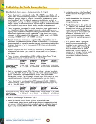 22
For more product information, or to download a product
instruction booklet, visit www.piercenet.com.
Optimizing Antibody Concentration
Note: All antibody dilutions assume a starting concentration of ~1 mg/ml.
1. Prepare dilutions of the protein sample in either TBS or PBS. The proper dilution will
depend on the antigen concentration present in the sample because the concentration of
the antigen of interest often is not known. It is necessary to test a wide range of dilu-
tions. SuperSignal®
West Pico Substrate has picogram-level detection sensitivity so
sample dilutions can range from the low microgram to low picogram levels. If too much
antigen is applied, the immunoassay results may show any or all of the following: detec-
tion of nonspecific bands, blurred banding patterns and rapid signal deterioration.
2. Prepare nitrocellulose membranes. The number of membrane pieces needed depends on
how many different dilutions of primary and/or secondary antibody will be screened.
Typically, one or two dilutions of the primary antibody are tested with two or three differ-
ent dilutions of the secondary antibody. For example: 1/1,000 primary with 1/50,000
secondary, 1/1,000 primary with 1/100,000 secondary, 1/5,000 primary with 1/50,000
secondary, and 1/5,000 primary with 1/100,000 secondary.
3. Place dry nitrocellulose membranes on a paper towel. Dot antigen dilutions onto the
membranes. Apply the smallest possible volume to the membranes (2-5 µl works well)
because the greater the volume that is applied, the more diffuse the signal will be. Allow
the antigen dilutions to dry on the membranes for 10-30 minutes or until no visible
moisture remains.
4. Block the nonspecific sites on the nitrocellulose membranes by incubating them in
blocking buffer that contains 0.05% Tween®
-20 (blocker/Tween®
-20) for 1 hour at RT
with shaking.
5. Prepare the primary antibody dilutions (1/1,000-1/5,000) in blocker/Tween®
-20 and
apply to the membranes. Incubate for 1 hour at RT with shaking.
SuperSignal®
SuperSignal®
SuperSignal®
Lumi-Phos™
West Pico West Femto West Dura WB Substrate
Substrate Substrate Substrate
Recommended Primary 1/1,000-1/5,000 1/5,000-1/100,000 1/1,000-1/50,000 1/200-1/2,000
Antibody Dilutions or 0.2-1.0 µg/ml or 0.01-0.2 µg/ml or 0.02-1.0 µg/ml or 0.5-5.0 µg/ml
(from 1 mg/ml stock)
6. Wash the membrane 4-6 times in TBS or PBS, using as large a volume of wash buffer
as possible. Add 0.05% Tween®
-20 to the wash buffer to help reduce nonspecific back-
ground. For each wash, suspend the membrane in wash buffer and agitate for
approximately 5 minutes. Pour off the wash buffer and repeat. Brief rinses of the mem-
branes before incubation in the wash buffer may increase the wash step efficiency.
7. Prepare dilutions of the secondary antibody/HRP conjugate (1/20,000-1/100,000) in
blocker/Tween®
-20. Add the secondary antibody dilutions to the membranes and incu-
bate for 1 hour with shaking.
SuperSignal®
SuperSignal®
SuperSignal®
Lumi-Phos™
West Pico West Femto West Dura WB Substrate
Substrate Substrate Substrate
Recommended Secondary 1/20,000-1/100,000 1/100,000-1/500,000 1/50,000-1/250,000 1/5,000-1/25,000
Antibody Dilutions or 10-50 ng/ml or 2.0-10 ng/ml or 4.0-20 ng/ml or 40-200 ng/ml
(from 1 mg/ml stock)
8. Wash the membrane again as described in Step 6.
9. Prepare the substrate working solution by mixing equal volumes of the
Luminol/Enhancer Solution and the Stable Peroxide Solution. Prepare a sufficient vol-
ume to ensure that the blot is completely wetted with substrate and the blot does not
dry out during incubation. Recommended volume: 0.125 ml/cm2
of blot surface.
10. Incubate the membrane in the SuperSignal®
West Pico Substrate Working Solution for 5
minutes.
11. Remove the membrane from the substrate
and place in a plastic sheet protector or
other protective wrap.
12. Place the blot against the film – protein side
up – and expose. Any standard or enhanced
autoradiographic film can be used. A recom-
mended first exposure is 30-60 seconds.
Exposure time can be varied to obtain opti-
mum results. Alternatively, use a CCD
camera or other imaging device; however,
these devices may require longer exposure
times.
13. On an optimized blot, the SuperSignal®
West Pico Substrate-generated signal
should last for up to eight hours. The blot
can be re-exposed to film or an imaging
device as needed to obtain the optimal
results. Longer exposure times may be
necessary as the blot ages. If optimal results
are not achieved, repeat this procedure
using different antigen and/or antibody
dilutions.
 