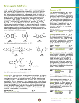 23
Tel: 800-874-3723 or 815-968-0747
www.piercenet.com
Chromogenic Substrates
As with the other components in a Western blotting system, there are many substrate
choices available. The appropriate substrate choice depends on the enzyme label (AP or
HRP), desired sensitivity, and desired form of signal or method of detection. Chromo-
genic substrates have been employed most widely and offer perhaps the simplest and
most cost-effective method of detection. When these substrates come in contact with the
appropriate enzyme, they are converted to insoluble, colored products that precipitate
onto the membrane and require no special equipment for processing or visualizing.
Substrates such as TMB (3,3´,5,5´-tetramethyl benzidine), 4-CN (4-chloro-1-naphthol)
and DAB (3,3´-diaminobenzidine tetrahydrochloride) are available for use with HRP
(Figure 12). For use with AP, NBT (nitro-blue tetrazolium chloride), BCIP (5-bromo-4-
chloro-3´-indolylphosphate p-toluidine salt) and Fast Red (naphthol AS-MX phosphate +
Fast Red TR Salt) are available (Figure 13). The performance of a particular substrate may
vary dramatically when obtained from different suppliers because performance can be
affected by the concentration and purity of the substrate and by other additives and buffer
components that are a part of the formulation.
Figure 12. Chromogenic substrates for Western blotting with HRP.
Figure 13. Chromogenic substrates for Western blotting with AP.
CH3
NH2
CH3
CH3
H2N
CH3
TMB
M.W. 240.4
OH
CI
4-CN
M.W. 178.6
NH2H2N
H2
N
NH
2
DAB
M.W. 214.1
C
N N NO2
N N
+
C
NN
NN
+
ON2
OCH3 OCH3
2CI-
NBT
M.W. 817.6
N
CI
Br
H
O P
O
OH
O OH
BCIP
M.W. 433.6
O
N
H
CH3
CH3
Naphthol AS-MX
phosphate
O
P OHO
OH
CI
CH3
N+
N
Fast Red TR Salt
Fast Red TR/AS-MX Substrate
+
Substrates for HRP
TMB, with a molecular weight of 240.4, is most
often used as a substrate for HRP in ELISAs.
However, in the presence of HRP and peroxide, a
water-soluble blue product is generated that can
be precipitated onto a membrane. 1-Step™ TMB
– Blotting (Product # 34018) is a single-compo-
nent peroxidase substrate for Western blotting
and immunohistochemistry. Precipitating the
product results in dark blue bands where the
enzyme is located. 1-Step™ TMB – Blotting is
well suited to applications that require a large
signal-to-noise ratio.
PRODUCT # DESCRIPTION PKG. SIZE
34018 1-Step™ TMB Blotting 250 ml
4-CN has a molecular weight of 178.6 and can
be used for chromogenic detection of HRP in
blotting and histochemistry. This precipitate is
not as sensitive or as stable as TMB and DAB,
but the alcohol-soluble precipitate photographs
well and has a distinct blue-purple color that
can be useful in double-staining applications.
PRODUCT # DESCRIPTION PKG. SIZE
34012 1-Step™ CN 250 ml
34010 4-Chloro-1-Napthol Powder 25 g powder
34011 4-Chloro-1-Napthol Tablets 50 tablets
DAB has a molecular weight of 214.1 and yields a
brown precipitate in the presence of HRP and per-
oxide. The brown, insoluble product can be readily
chelated with osmium tetroxide. This property
makes DAB ideal for electron microscopy. The
color produced by DAB can be intensified with the
addition of metals such as nickel, copper, silver
and cobalt that form complexes. The color pro-
duced by the metal complexes is darker than the
color produced by DAB alone, enhancing the sen-
sitivity in staining applications.
PRODUCT # DESCRIPTION PKG. SIZE
34002 DAB Substrate Kit 275 ml
Includes: DAB (10X) Stable 25 ml
Peroxide Buffer 250 ml
34065 Metal Enhanced DAB Substrate Kit 275 ml
Includes: 10X Metal Enhanced DAB 25 ml
Stable Peroxide Buffer 250 ml
The individual benefits of 4-CN and DAB are
often combined into a single substrate mixture,
CN/DAB Substrate. The CN/DAB Substrate has
excellent sensitivity, yielding a dark black pre-
cipitate that photographs well. The CN/DAB
Substrate works well in Western blotting and
dot blotting applications.
PRODUCT # DESCRIPTION PKG. SIZE
34000 CN/DAB Substrate Kit 275 ml
Includes: CN/DAB (10X) 25 ml
Stable Peroxide Buffer 250 ml
Peroxide must be added to a substrate for colorimetric detection with HRP. Because of its
extremely short shelf life at the desired concentration, hydrogen peroxide traditionally was
added to a buffer, along with the substrate, immediately prior to use. As a result, these
substrates typically have a useful shelf life of only a few hours. Many precipitating HRP
substrates from Pierce are supplied with, or come prepared in, Stable Peroxide Substrate
Buffer (Product # 34062). The Stable Peroxide Substrate Buffer is a 10X concentrate that
offers several advantages. It is less corrosive than the traditional 30% stock solution of
hydrogen peroxide and, because fewer preparation steps are involved, it provides more
consistent results. Although the Stable Peroxide Substrate Buffer is provided as a 10X
concentrate, it is also stable at a 1X concentration.
PRODUCT # DESCRIPTION PKG. SIZE
34062 Stable Peroxide Buffer (10X) 100 ml
 