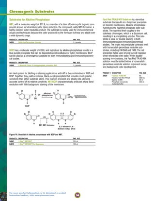 24
For more product information, or to download a product
instruction booklet, visit www.piercenet.com.
Chromogenic Substrates
Br
CI
O P OH
O
OH
alkaline
phosphatase
Br
CI
OH
HPO3
- tautomerism
N
H
BCIP
N
H
Br
CI
O
N
H
Br
CI
N
H
O Br
CI
N
H
O
5,5'-dibromo-4,4'-
dichloro-indigo white
-2H
NBT NBT-formazan
Substrates for Alkaline Phosphatase
NBT, with a molecular weight of 817.6, is a member of a class of heterocyclic organic com-
pounds known as tetrazolium salts. Upon reduction, the compound yields NBT-formazan, a
highly colored, water-insoluble product. The substrate is widely used for immunochemical
assays and techniques because the color produced by the formazan is linear and stable over
a wide dynamic range.
PRODUCT # DESCRIPTION PKG. SIZE
34035 Nitro-Blue Tetrazolium Chloride 1 g powder
BCIP has a molecular weight of 433.6, and hydrolysis by alkaline phosphatase results in a
blue-purple precipitate that can be deposited on nitrocellulose or nylon membranes. BCIP
can be used as a chromogenic substrate for both immunoblotting and immunohistochemi-
cal studies.
PRODUCT # DESCRIPTION PKG. SIZE
34040 5-Bromo-4-Chloro-3'-indolyphosphate p-toluidine Salt 1 g powder
An ideal system for blotting or staining applications with AP is the combination of NBT and
BCIP. Together, they yield an intense, black-purple precipitate that provides much greater
sensitivity than either substrate alone. This reaction proceeds at a steady rate, allowing
accurate control of its relative sensitivity. NBT/BCIP characteristically produces sharp band
resolution with little background staining of the membrane.
Figure 14. Reaction of alkaline phosphatase with BCIP and NBT.
PRODUCT # DESCRIPTION PKG. SIZE
34042 1-Step™ NBT/BCIP 250 ml
34070 1-Step™ NBT/BCIP Plus Suppressor 100 ml
Fast Red TR/AS-MX Substrate is a sensitive
substrate that results in a bright red precipitate
on transfer membranes. Alkaline phosphatase
hydrolyzes the naphthol phosphate ester sub-
strate. The naphthol then couples to the
colorless chromogen, which is a diazonium salt,
resulting in a precipitating azo dye. This sub-
strate is ideal for double staining in both
immunoblotting and immunohistochemical
studies. The bright red precipitate contrasts well
with horseradish peroxidase insoluble sub-
strates, including CN/DAB and TMB. The red
precipitate fades upon drying but will reappear
when rehydrated with water. When double-
staining immunoblots, the Fast Red TR/AS-MX
solution must be added before a horseradish
peroxidase substrate solution to prevent exces-
sive background color development.
PRODUCT # DESCRIPTION PKG. SIZE
34034 Fast Red TR/AS-MX Kit
Includes: Fast Red TR Salt 250 mg
Napthol AS-MX 35 ml
Phosphate Concentrate 250 ml
Substrate Buffer
 