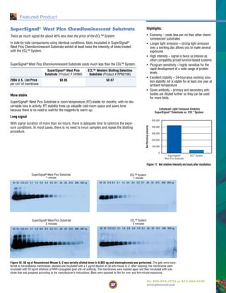 27
Tel: 800-874-3723 or 815-968-0747
www.piercenet.com
SuperSignal® West Pico Chemiluminescent Substrate
Twice as much signal for about 40% less than the price of the ECL™ System.
In side-by-side comparisons using identical conditions, blots incubated in SuperSignal®
West Pico Chemiluminescent Substrate exhibit at least twice the intensity of blots treated
with the ECL™ System.
SuperSignal® West Pico Chemiluminescent Substrate costs much less than the ECL™ System.
SuperSignal® West Pico ECL™ Western Blotting Detection
Substrate (Product # 34080) Substrate (Product # RPN2106)
2004 U.S. List Price $0.05 $0.07
per cm2 of membrane
More stable
SuperSignal® West Pico Substrate is room temperature (RT)-stable for months, with no dis-
cernable loss in activity. RT stability frees up valuable cold-room space and saves time
because there is no need to wait for the reagents to warm up.
Long signal
With signal duration of more than six hours, there is adequate time to optimize the expo-
sure conditions. In most cases, there is no need to rerun samples and repeat the blotting
procedure.
SuperSignal® West Pico Substrate
1 minute
50 25 12.5 6.3 3.1 1.6 0.8 0.4 0.2 0.1 .05 .03 .013 .006 .003 ng
ECL™ System
1 minute
50 25 12.5 6.3 3.1 1.6 0.8 0.4 0.2 0.1 .05 .03 .013 .006 .003 ng
SuperSignal® West Pico Substrate
5 minutes
50 25 12.5 6.3 3.1 1.6 0.8 0.4 0.2 0.1 .05 .03 .013 .006 .003 ng
ECL™ System
5 minutes
50 25 12.5 6.3 3.1 1.6 0.8 0.4 0.2 0.1 .05 .03 .013 .006 .003 ng
Figure 16. 50 ng of Recombinant Mouse IL-2 was serially diluted down to 0.003 ng and electrophoresis was performed. The gels were trans-
ferred to nitrocellulose membranes, blocked and incubated with a 1 µg/ml dilution of rat anti-mouse IL-2. After washing, the membranes were
incubated with 20 ng/ml dilutions of HRP-conjugated goat anti-rat antibody. The membranes were washed again and then incubated with sub-
strate that was prepared according to the manufacturer’s instructions. Blots were exposed to film for one- and five-minute exposures.
Highlights:
• Economy – costs less per ml than other chemi-
luminescent substrates
• Longer light emission – strong light emission
over a working day allows you to make several
exposures
• High intensity – signal is twice as intense as
other compatibly priced luminol-based systems
• Picogram sensitivity – highly sensitive for the
rapid development of a wide range of protein
levels
• Excellent stability – 24-hour-plus working solu-
tion stability; kit is stable for at least one year at
ambient temperature
• Saves antibody – primary and secondary anti-
bodies are diluted further so they can be used
for more blots
Figure 17. Net relative intensity six hours after incubation.
SuperSignal®
West Pico Substrate
NetRelativeIntensity
ECL™
System
0
100,000
300,000
200,000
400,000
500,000
Enhanced Light Emission Kinetics
SuperSignal®
Substrate vs. ECL™
System
Featured Product
 