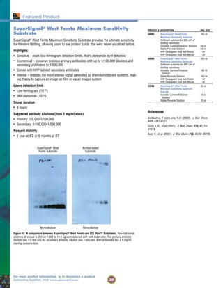 30
For more product information, or to download a product
instruction booklet, visit www.piercenet.com.
Featured Product
SuperSignal® West Femto Maximum Sensitivity
Substrate
SuperSignal® West Femto Maximum Sensitivity Substrate provides the ultimate sensitivity
for Western blotting, allowing users to see protein bands that were never visualized before.
Highlights:
• Sensitive – reach low-femtogram detection limits, that’s zeptomole-level detection
• Economical – conserve precious primary antibodies with up to 1/100,000 dilutions and
secondary antibodies to 1/500,000
• Comes with HRP-labeled secondary antibodies
• Intense – releases the most intense signal generated by chemiluminescent systems, mak-
ing it easy to capture an image on film or via an imager system
Lower detection limit
• Low-femtogram (10-15)
• Mid-zeptomole (10-20)
Signal duration
• 8 hours
Suggested antibody dilutions (from 1 mg/ml stock)
• Primary: 1/5,000-1/100,000
• Secondary: 1/100,000-1,500,000
Reagent stability
• 1 year at 4˚C or 6 months at RT
SuperSignal® West Acridan-based
Femto Substrate Substrate
Nitrocellulose Nitrocellulose
Figure 18. A comparison between SuperSignal®
West Femto and ECL Plus™ Substrates. Two-fold serial
dilutions of mouse IL-2 from 1,000 to 15.6 pg were detected with both substrates. The primary antibody
dilution was 1/2,000 and the secondary antibody dilution was 1/300,000. Both antibodies had a 1 mg/ml
starting concentration.
PRODUCT # DESCRIPTION PKG. SIZE
34095 SuperSignal® West Femto 100 ml
Maximum Sensitivity Substrate
Sufficient substrate for 800 cm2 of
blotting membrane.
Includes: Luminol/Enhancer Solution 50 ml
Stable Peroxide Solution 50 ml
HRP-Conjugated Goat Anti-Rabbit 1 ml
HRP-Conjugated Goat Anti-Mouse 1 ml
34096 SuperSignal® West Femto 200 ml
Maximum Sensitivity Substrate
Sufficient substrate for 800 cm2 of
blotting membrane.
Includes: Luminol/Enhancer 100 ml
Solution
Stable Peroxide Solution 100 ml
HRP-Conjugated Goat Anti-Rabbit 1 ml
HRP-Conjugated Goat Anti-Mouse 1 ml
34094 SuperSignal® West Femto 20 ml
Maximum Sensitivity Substrate
Trial Kit
Includes: Luminol/Enhancer 10 ml
Solution
Stable Peroxide Solution 10 ml
References
Adilakshmi, T. and Laine, R.O. (2002). J. Biol. Chem.
277, 4147-4151.
Conti, L.R., et al. (2001). J. Biol. Chem. 276, 41270-
41278.
Guo, Y., et al. (2001). J. Biol. Chem. 276, 45791-45799.
 
