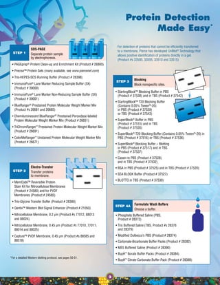 SDS-PAGE
Separate protein sample
by electrophoresis.
• PAGEprep® Protein Clean-up and Enrichment Kit (Product # 26800)
• Precise™ Protein Gels (many available, see www.piercenet.com)
• Tris-HEPES-SDS Running Buffer (Product # 28398)
• ImmunoPure® Lane Marker Reducing Sample Buffer (5X)
(Product # 39000)
• ImmunoPure® Lane Marker Non-Reducing Sample Buffer (5X)
(Product # 39001)
• BlueRanger® Prestained Protein Molecular Weight Marker Mix
(Product #s 26681 and 26685)
• Chemiluminescent BlueRanger®
Prestained Peroxidase-labeled
Protein Molecular Weight Marker Mix (Product # 26651)
• TriChromRanger™ Prestained Protein Molecular Weight Marker Mix
(Product # 26691)
• ColorMeRanger™ Unstained Protein Molecular Weight Marker Mix
(Product # 26671)
Electro-Transfer
Transfer proteins
to membrane.
• MemCode™ Reversible Protein
Stain Kit for Nitrocellulose Membranes
(Product # 24580) and for PVDF
Membranes (Product # 24585)
• Tris-Glycine Transfer Buffer (Product # 28380)
• Qentix™ Western Blot Signal Enhancer (Product # 21050)
• Nitrocellulose Membrane, 0.2 µm (Product #s 77012, 88013
and 88024)
• Nitrocellulose Membrane, 0.45 µm (Product #s 77010, 77011,
88014 and 88025)
• Capture™ PVDF Membrane, 0.45 µm (Product #s 88585 and
88518)
Blocking
Block nonspecific sites.
• StartingBlock™ Blocking Buffer in PBS
(Product # 37538) and in TBS (Product # 37542)
• StartingBlock™ T20 Blocking Buffer
(Contains 0.05% Tween®
-20)
in PBS (Product # 37539)
or TBS (Product # 37543)
• SuperBlock®
Buffer in PBS
(Product # 37515) and in TBS
(Product # 37535)
• SuperBlock®
T20 Blocking Buffer (Contains 0.05% Tween®
-20) in
PBS (Product # 37516) or TBS (Product # 37536)
• SuperBlock®
Blocking Buffer – Blotting
in PBS (Product # 37517) and in TBS
(Product # 37537)
• Casein in PBS (Product # 37528)
and in TBS (Product # 37532)
• BSA in PBS (Product # 37525) and in TBS (Product # 37520)
• SEA BLOCK Buffer (Product # 37527)
• BLOTTO in TBS (Product # 37530)
Formulate Wash Buffers
Choose a buffer.
• Phosphate Buffered Saline (PBS,
Product # 28372)
• Tris Buffered Saline (TBS, Product #s 28376
and 28379)
• Modified Dulbecco’s PBS (Product # 28374)
• Carbonate-Bicarbonate Buffer Packs (Product # 28382)
• MES Buffered Saline (Product # 28390)
• BupH™ Borate Buffer Packs (Product # 28384)
• BupH™ Citrate-Carbonate Buffer Pack (Product # 28388)
For detection of proteins that cannot be efficiently transferred
to a membrane, Pierce has developed UnBlot®
Technology that
allows positive identification of proteins directly in a gel.
(Product #s 33500, 33505, 33510 and 33515)
Protein Detection
Made Easy
STEP 1
STEP 2
STEP 3
STEP 4A
2
*
*For a detailed Western blotting protocol, see pages 50-51.
 