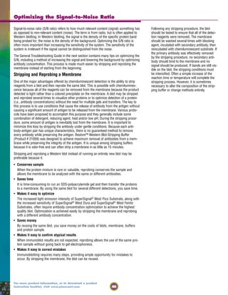 40
For more product information, or to download a product
instruction booklet, visit www.piercenet.com.
Signal-to-noise ratio (S/N ratio) refers to how much relevant content (signal) something has
as opposed to non-relevant content (noise). The term is from radio, but is often applied to
Western blotting. In Western blotting, the signal is the density of the specific protein band
being probed for; the noise is the density of the background. Optimizing the S/N ratio is
often more important than increasing the sensitivity of the system. The sensitivity of the
system is irrelevant if the signal cannot be distinguished from the noise.
The General Troubleshooting Guide in the next section contains many tips on optimizing the
S/N, including a method of increasing the signal and lowering the background by optimizing
antibody concentration. This process is made much easier by stripping and reprobing the
membrane instead of starting from the beginning.
Stripping and Reprobing a Membrane
One of the major advantages offered by chemiluminescent detection is the ability to strip
reagents from a blot and then reprobe the same blot. This is possible with chemilumines-
cence because all of the reagents can be removed from the membrane because the product
detected is light rather than a colored precipitate on the membrane. A blot may be stripped
and reprobed several times to visualize other proteins or to optimize detection of a protein
(i.e., antibody concentrations) without the need for multiple gels and transfers. The key to
this process is to use conditions that cause the release of antibody from the antigen without
causing a significant amount of antigen to be released from the membrane. Various proto-
cols have been proposed to accomplish this purpose and they generally include some
combination of detergent, reducing agent, heat and/or low pH. During the stripping proce-
dure, some amount of antigen is inevitably lost from the membrane. It is important to
minimize this loss by stripping the antibody under gentle conditions. Because each anti-
body-antigen pair has unique characteristics, there is no guaranteed method to remove
every antibody while preserving the antigen. Restore™ Western Blot Stripping Buffer
(Product # 21059) was designed to achieve maximum removal of antibodies from a mem-
brane while preserving the integrity of the antigen. It is unique among stripping buffers
because it is odor-free and can often strip a membrane in as little as 15 minutes.
Stripping and reprobing a Western blot instead of running an entirely new blot may be
preferable because it:
• Conserves sample
When the protein mixture is rare or valuable, reprobing conserves the sample and
allows the membrane to be analyzed with the same or different antibodies.
• Saves time
It is time-consuming to run an SDS-polyacrylamide gel and then transfer the proteins
to a membrane. By using the same blot for several different detections, you save time.
• Makes it easy to optimize
The increased light emission intensity of SuperSignal®
West Pico Substrate, along with
the increased sensitivity of SuperSignal®
West Dura and SuperSignal®
West Femto
Substrates, often require antibody concentration optimization to achieve the highest
quality blot. Optimization is achieved easily by stripping the membrane and reprobing
with a different antibody concentration.
• Saves money
By reusing the same blot, you save money on the costs of blots, membrane, buffers
and protein sample.
• Makes it easy to confirm atypical results
When immunoblot results are not expected, reprobing allows the use of the same pro-
tein sample without going back to gel electrophoresis.
• Makes it easy to correct mistakes
Immunoblotting requires many steps, providing ample opportunity for mistakes to
occur. By stripping the membrane, the blot can be reused.
Optimizing the Signal-to-Noise Ratio
Following any stripping procedure, the blot
should be tested to ensure that all of the detec-
tion reagents were removed. The membrane
should be washed several times with blocking
agent, incubated with secondary antibody, then
reincubated with chemiluminescent substrate. If
the primary antibody was effectively removed
by the stripping procedure, no secondary anti-
body should bind to the membrane and no
signal should be produced. If bands are still vis-
ible on the blot, the stripping conditions must
be intensified. Often a simple increase of the
reaction time or temperature will complete the
stripping process. However, it is sometimes
necessary to alter the composition of the strip-
ping buffer or change methods entirely.
 