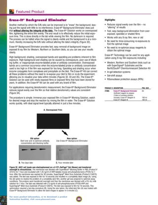 44
For more product information, or to download a product
instruction booklet, visit www.piercenet.com.
Featured Product
Erase-It® Background Eliminator
Another method by which the S/N ratio can be improved is to “erase” the background, leav-
ing just the signal with little to no interference. Erase-It® Background Eliminator does just
that without altering the integrity of the data. The Erase-It® Solution works on overexposed
film, lightening the entire film evenly. The end result is to effectively reduce the initial expo-
sure time. This is done directly in the lab while viewing the film. No darkroom is required.
The process can be halted when the signal is clearly visible and the background is at a mini-
mum, thereby increasing the S/N ratio without altering the data’s integrity (Figure 32).
Erase-It® Background Eliminator provides fast, easy removal of background image on
exposed X-ray film for Western, Northern or Southern blots, so you can see your results
clearly.
High background, shading, overexposed bands and speckling are problems inherent to film
exposure. High background and shading can be caused by overexposure, poor use of block-
ing buffer, or inappropriate enzyme-labeled probe or antibody concentration. Overexposed
bands are a common occurrence when the enzyme-labeled probe or antibody concentration
used is too high or if the film was exposed for too long. Speckling and shading occur when
enzyme conjugates form complexes and precipitate on the blot. The Erase-It® Kit can correct
all these problems without the need to re-expose your blot to film or re-do the experiment,
allowing you to visualize your data within minutes (Figures 32, 33 and 35). The Erase-It®
Solution can be used with newly exposed films or exposed films that have been stored for
years. In addition, the Erase-It® Kit can be used with any brand of film.
For applications requiring densitometric measurement, the Erase-It® Background Eliminator
reduces signal evenly over the film so that relative densitometry values are consistent
(Figure 34).
The procedure is simple. Immerse your exposed film in Erase-It® Working Solution, watch
for desired image and stop the reaction by rinsing the film in water. The Erase-It® Solution
works quickly, with ideal signal level typically attained in just a few minutes.
B. Two days later C. Four minutes later
Figure 32. A431 cell lysate was electrophoresed on a 4-12% NuPage®
Gel (Novex) and transferred
overnight to nitrocellulose. The membrane was blocked with SuperBlock®
Blocking Buffer in PBS (Product #
37515) for 1 hour and incubated with 1.25 ng/ml of HRP-labeled mouse anti-phosphotyrosine (PY20) for 1
hour. After the membrane was washed for 30 minutes, SuperSignal®
West Dura Substrate (Product # 34075)
was added. The blot was exposed to film for 10 seconds and resulted in a completely black image (A). Using
the old option to resolve the problem of a completely dark film, another gel was prepared to optimize assay
conditions. The proteins were transferred overnight and then the membrane was blocked with a 5% dry milk
solution for 1 hour. The blot was detected with 2.5 ng/ml of anti-phosphotyrosine (PY20)-HRP and
SuperSignal®
West Dura Substrate (Product # 34075). The blot was exposed to film for 10 seconds. This
optimization required a two-day procedure (B). Using the new option, the initial dark film (A) was treated with
Erase-It® Background Eliminator to allow the band images to appear in 4 minutes (C).
New option:
Use Erase-It® Background Eliminator.
Old option:
Start over and re-optimize antibody
concentration and blocking buffer.
A. Overexposed Film:
Highlights:
• Reduces signal evenly over the film – no
“altering” of results
• Fast, easy background elimination from over-
exposed, speckled or shaded films
• Works with any X-ray film, new or old
• No need for time-consuming re-exposures to
find the optimal image
• No need to re-optimize assay reagents to
obtain the optimal image
Erase-It® Technology can be used for any appli-
cation using X-ray film exposures including:
• Western, Northern and Southern blots such as
with SuperSignal® Substrates and the
North2South® Chemiluminescent Detection Kit
• In-gel detection systems
• Gel-shift assays
• Ribonuclease protection assays (RPA)
PRODUCT # DESCRIPTION PKG. SIZE
21065 Erase-It® Background Eliminator Kit
Sufficient reagent to prepare
3 liters of working solution.
Includes: Erase-It® Reagent A 100 ml
Erase-It® Reagent B 100 ml
 