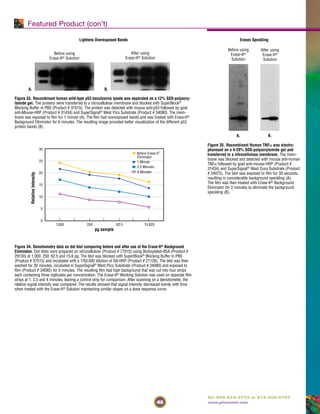45
Tel: 800-874-3723 or 815-968-0747
www.piercenet.com
Lightens Overexposed Bands
A. B,
Figure 33. Recombinant human wild-type p53 baculovirus lysate was separated on a 12% SDS-polyacry-
lamide gel. The proteins were transferred to a nitrocellulose membrane and blocked with SuperBlock®
Blocking Buffer in PBS (Product # 37515). The protein was detected with mouse anti-p53 followed by goat
anti-Mouse-HRP (Product # 31434) and SuperSignal®
West Pico Substrate (Product # 34080). The mem-
brane was exposed to film for 1 minute (A). The film had overexposed bands and was treated with Erase-It®
Background Eliminator for 6 minutes. The resulting image provided better visualization of the different p53
protein bands (B).
Erases Speckling
A. B.
Figure 35. Recombinant Human TNFa was electro-
phoresed on a 4-20% SDS-polyacrylamide gel and
transferred to a nitrocellulose membrane. The mem-
brane was blocked and detected with mouse anti-human
TNFα followed by goat anti-mouse-HRP (Product #
31434) and SuperSignal®
West Dura Substrate (Product
# 34075). The blot was exposed to film for 30 seconds,
resulting in considerable background speckling (A).
The film was then treated with Erase-It® Background
Eliminator for 2 minutes to eliminate the background
speckling (B).
Featured Product (con’t)
After using
Erase-It®
Solution
Before using
Erase-It®
Solution
pg sample
30
25
20
15
10
5
0
1,000 62.5
RelativeIntensity
250 15.625
Before Erase-It™
Eliminator
1 Minute
2.5 Minutes
4 Minutes
Figure 34. Densitometry data on dot blot comparing before and after use of the Erase-It® Background
Eliminator. Dot blots were prepared on nitrocellulose (Product # 77010) using Biotinylated-BSA (Product #
29130) at 1,000, 250, 62.5 and 15.6 pg. The blot was blocked with SuperBlock®
Blocking Buffer in PBS
(Product # 37515) and incubated with a 1/50,000 dilution of SA-HRP (Product # 21126). The blot was then
washed for 30 minutes, incubated in SuperSignal®
West Pico Substrate (Product # 34080) and exposed to
film (Product # 34092) for 5 minutes. The resulting film had high background that was cut into four strips
each containing three replicates per concentration. The Erase-It® Working Solution was used on separate film
strips at 1, 2.5 and 4 minutes, leaving a control strip for comparison. After scanning on a densitometer, the
relative signal intensity was compared. The results showed that signal intensity decreased evenly with time
when treated with the Erase-It® Solution maintaining similar slopes on a dose response curve.
After using
Erase-It® Solution
Before using
Erase-It® Solution
 