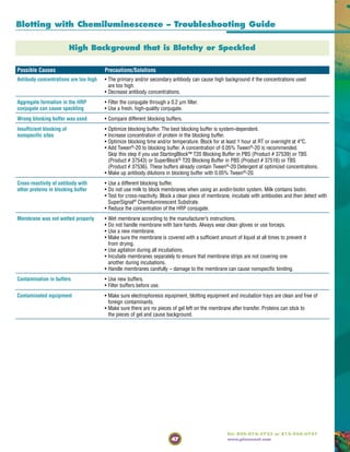 47
Tel: 800-874-3723 or 815-968-0747
www.piercenet.com
Possible Causes Precautions/Solutions
Antibody concentrations are too high • The primary and/or secondary antibody can cause high background if the concentrations used
are too high.
• Decrease antibody concentrations.
Aggregate formation in the HRP • Filter the conjugate through a 0.2 µm filter.
conjugate can cause speckling • Use a fresh, high-quality conjugate.
Wrong blocking buffer was used • Compare different blocking buffers.
Insufficient blocking of • Optimize blocking buffer. The best blocking buffer is system-dependent.
nonspecific sites • Increase concentration of protein in the blocking buffer.
• Optimize blocking time and/or temperature. Block for at least 1 hour at RT or overnight at 4°C.
• Add Tween®
-20 to blocking buffer. A concentration of 0.05% Tween®
-20 is recommended.
Skip this step if you use StartingBlock™ T20 Blocking Buffer in PBS (Product # 37539) or TBS
(Product # 37543) or SuperBlock®
T20 Blocking Buffer in PBS (Product # 37516) or TBS
(Product # 37536). These buffers already contain Tween®
-20 Detergent at optimized concentrations.
• Make up antibody dilutions in blocking buffer with 0.05% Tween®
-20.
Cross-reactivity of antibody with • Use a different blocking buffer.
other proteins in blocking buffer • Do not use milk to block membranes when using an avidin-biotin system. Milk contains biotin.
• Test for cross-reactivity. Block a clean piece of membrane, incubate with antibodies and then detect with
SuperSignal®
Chemiluminescent Substrate.
• Reduce the concentration of the HRP conjugate.
Membrane was not wetted properly • Wet membrane according to the manufacturer’s instructions.
• Do not handle membrane with bare hands. Always wear clean gloves or use forceps.
• Use a new membrane.
• Make sure the membrane is covered with a sufficient amount of liquid at all times to prevent it
from drying.
• Use agitation during all incubations.
• Incubate membranes separately to ensure that membrane strips are not covering one
another during incubations.
• Handle membranes carefully – damage to the membrane can cause nonspecific binding.
Contamination in buffers • Use new buffers.
• Filter buffers before use.
Contaminated equipment • Make sure electrophoresis equipment, blotting equipment and incubation trays are clean and free of
foreign contaminants.
• Make sure there are no pieces of gel left on the membrane after transfer. Proteins can stick to
the pieces of gel and cause background.
Blotting with Chemiluminescence – Troubleshooting Guide
High Background that is Blotchy or Speckled
 